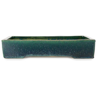  Shuuhou (Hidemi Kataoka) Vaso bonsai rettangolare verde da 380 mm di Shuhou, Tokoname, Giappone