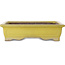 Maceta rectangular amarilla para bonsái de Yamaaki Toshio (tercera generación) - 375 x 300 x 98 mm