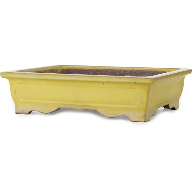 Maceta rectangular amarilla para bonsái de Yamaaki Toshio (tercera generación) - 375 x 300 x 98 mm