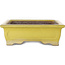 Maceta rectangular amarilla para bonsái de Yamaaki Toshio (tercera generación) - 375 x 300 x 98 mm