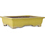 Rectangular yellow bonsai pot by Yamaaki Toshio (third generation) - 375 x 300 x 98 mm
