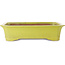 Rectangular yellow bonsai pot - 515 x 420 x 120 mm