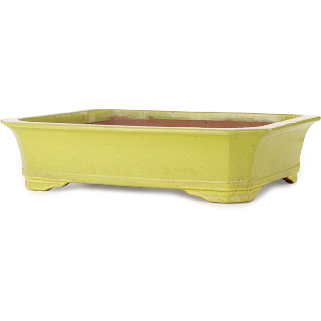 Rechthoekige gele bonsaipot - 515 x 420 x 120 mm
