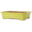 Rechteckiger gelber Bonsai-Topf – 515 x 420 x 120 mm