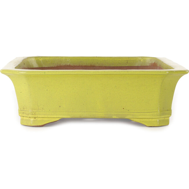 Pot à bonsaï rectangulaire jaune - 515 x 420 x 120 mm
