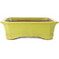 Pot à bonsaï rectangulaire jaune - 515 x 420 x 120 mm
