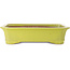 Maceta rectangular amarilla para bonsái - 515 x 420 x 120 mm