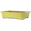 Rechthoekige gele bonsaipot - 515 x 420 x 120 mm