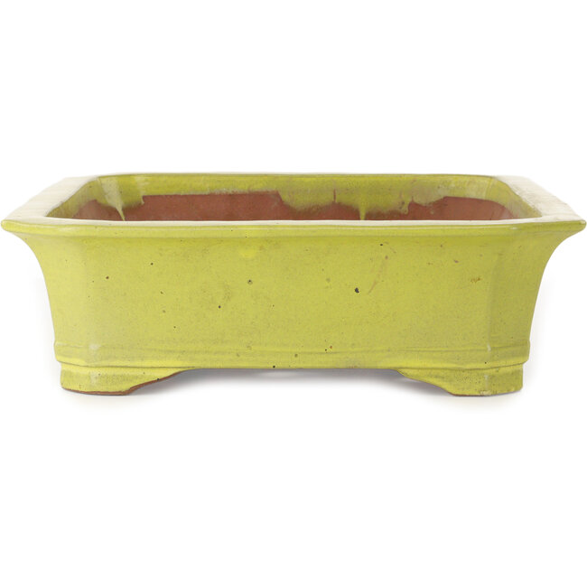 Rechteckiger gelber Bonsai-Topf – 515 x 420 x 120 mm