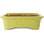 Rectangular yellow bonsai pot - 515 x 420 x 120 mm