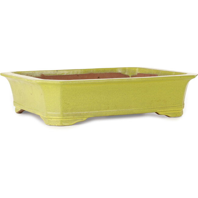 Rectangular yellow bonsai pot - 515 x 420 x 120 mm