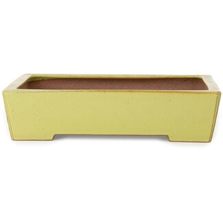 Seizan (Reihou, Kataoka Katsushi, master Seizan kiln) Pot à bonsaï rectangulaire jaune de 335 mm par Seizan (Reihou, Kataoka Katsushi, maître four Seizan), Tokoname, Japon