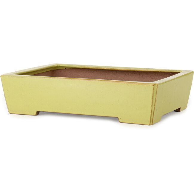 Maceta rectangular amarilla para bonsái de Seizan (Reihou, Kataoka Katsushi, maestro del horno Seizan) - 335 x 233 x 78 mm
