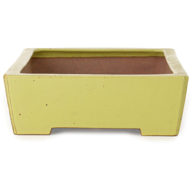 Vaso bonsai rettangolare giallo di Seizan (Reihou, Kataoka Katsushi, forno del maestro Seizan) - 335 x 233 x 78 mm