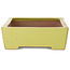 Maceta rectangular amarilla para bonsái de Seizan (Reihou, Kataoka Katsushi, maestro del horno Seizan) - 335 x 233 x 78 mm