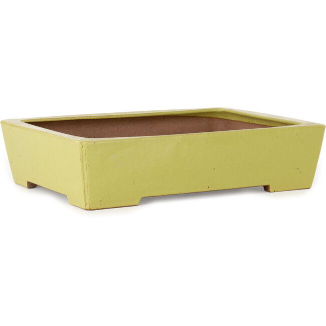 Pot à bonsaï rectangulaire jaune par Seizan (Reihou, Kataoka Katsushi, maître four Seizan) - 335 x 233 x 78 mm
