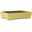 Rechteckiger gelber Bonsaitopf von Seizan (Reihou, Kataoka Katsushi, Meister Seizan-Ofen) – 335 x 233 x 78 mm