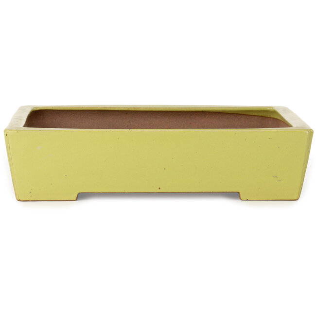 Maceta rectangular amarilla para bonsái de Seizan (Reihou, Kataoka Katsushi, maestro del horno Seizan) - 335 x 233 x 78 mm