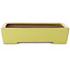 Pot à bonsaï rectangulaire jaune par Seizan (Reihou, Kataoka Katsushi, maître four Seizan) - 335 x 233 x 78 mm