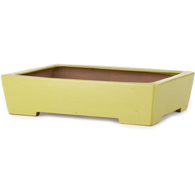 Maceta rectangular amarilla para bonsái de Seizan (Reihou, Kataoka Katsushi, maestro del horno Seizan) - 335 x 233 x 78 mm