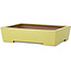 Rectangular yellow bonsai pot by Seizan (Reihou, Kataoka Katsushi, master Seizan kiln) - 335 x 233 x 78 mm