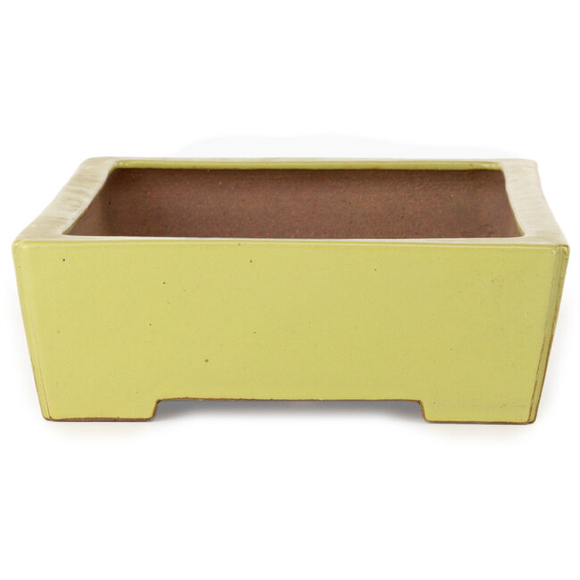 Maceta rectangular amarilla para bonsái de Seizan (Reihou, Kataoka Katsushi, maestro del horno Seizan) - 335 x 233 x 78 mm