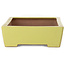 Vaso bonsai rettangolare giallo di Seizan (Reihou, Kataoka Katsushi, forno del maestro Seizan) - 335 x 233 x 78 mm
