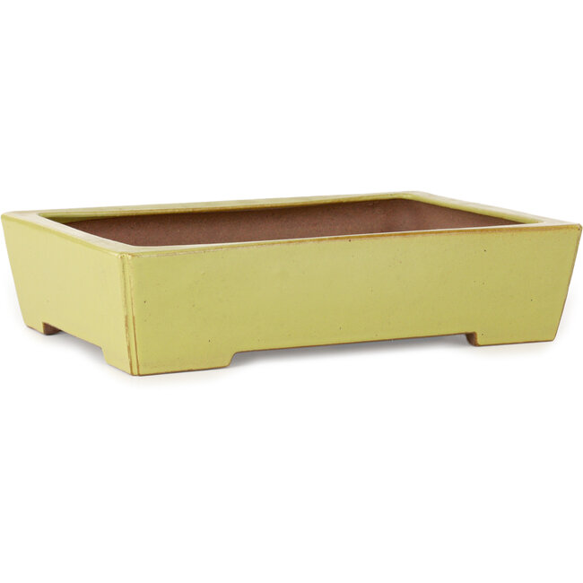 Maceta rectangular amarilla para bonsái de Seizan (Reihou, Kataoka Katsushi, maestro del horno Seizan) - 335 x 233 x 78 mm