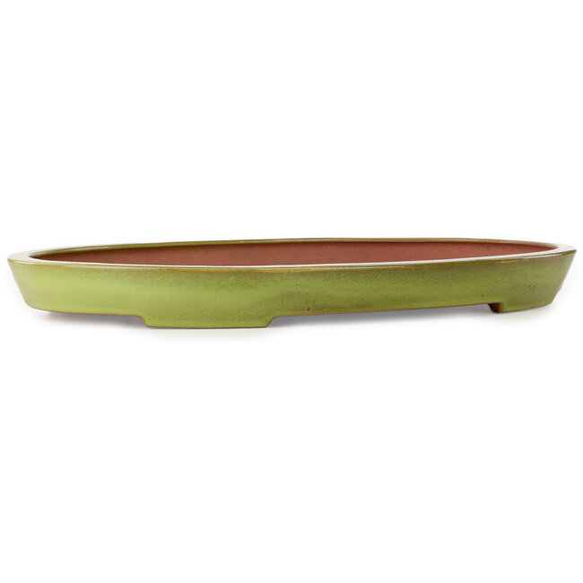 Ovale gele bonsaipot van Seizan (Reihou, Kataoka Katsushi, meester Seizan oven) - 607 x 392 x 55 mm