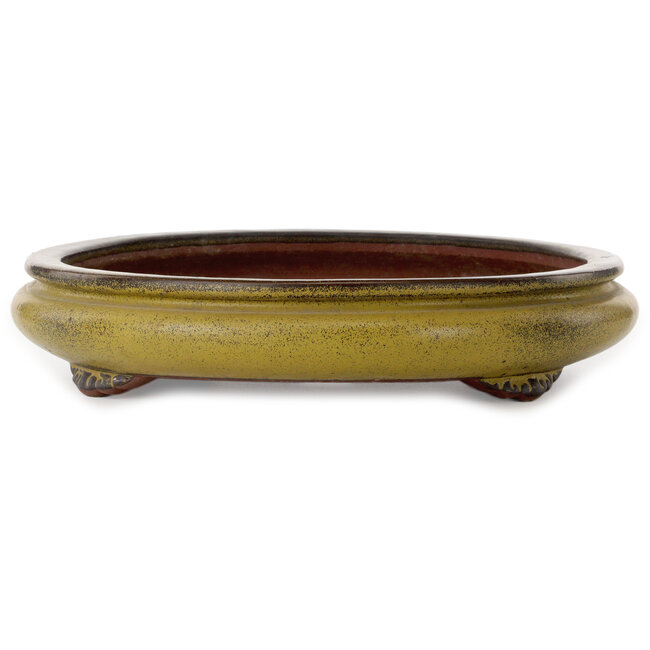 Maceta ovalada amarilla para bonsái de Suishoen Hekisui - 473 x 387 x 70 mm