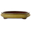 Maceta ovalada amarilla para bonsái de Suishoen Hekisui - 473 x 387 x 70 mm