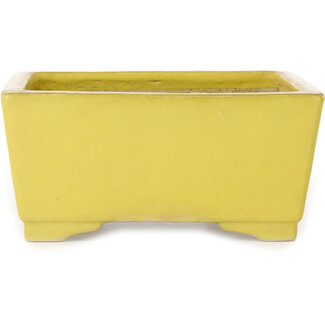Koyou Pot à bonsaï carré jaune de 227 mm, fabriqué par Aiba Koyou, Tokoname, Japon