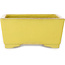 Vaso bonsai quadrato giallo di Aiba Koyou - 227 x 227 x 110 mm