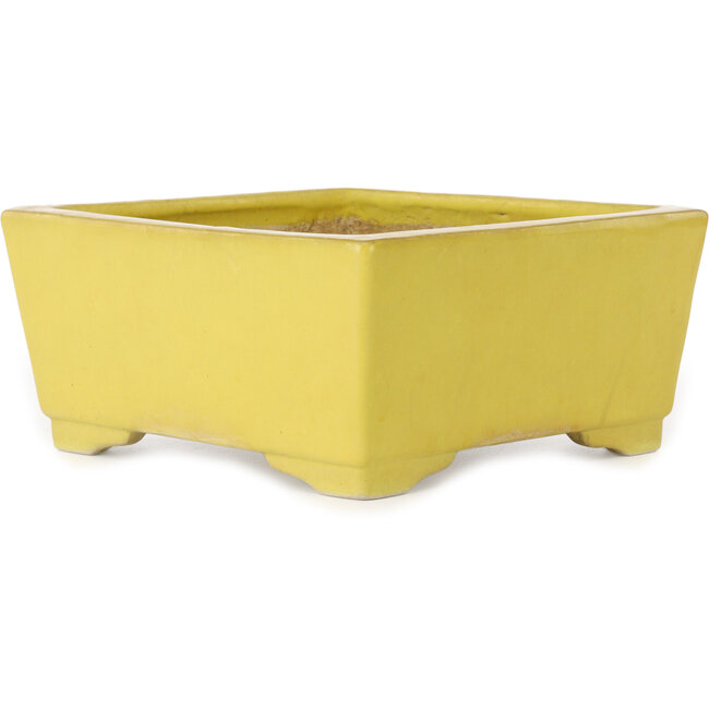 Square yellow bonsai pot by Aiba Koyou - 227 x 227 x 110 mm