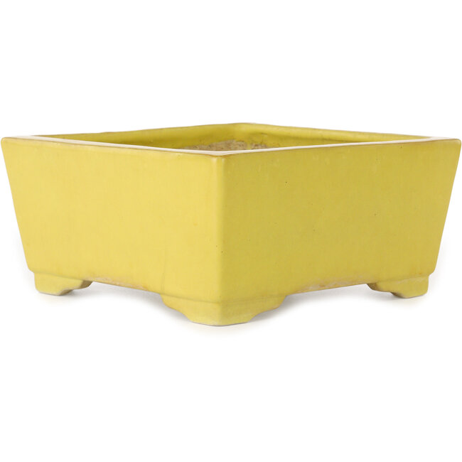 Square yellow bonsai pot by Aiba Koyou - 227 x 227 x 110 mm