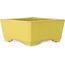 Square yellow bonsai pot by Aiba Koyou - 227 x 227 x 110 mm