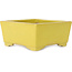 Vaso bonsai quadrato giallo di Aiba Koyou - 227 x 227 x 110 mm