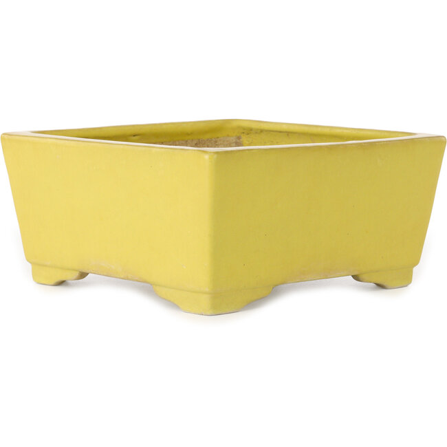 Vaso bonsai quadrato giallo di Aiba Koyou - 227 x 227 x 110 mm
