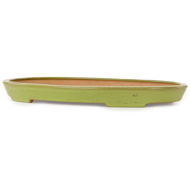 Oval yellow bonsai pot by Seizan (Reihou, Kataoka Katsushi, master Seizan kiln) - 487 x 316 x 45 mm
