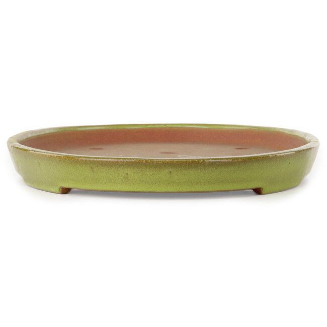 Oval yellow bonsai pot by Seizan (Reihou, Kataoka Katsushi, master Seizan kiln) - 482 x 302 x 35 mm