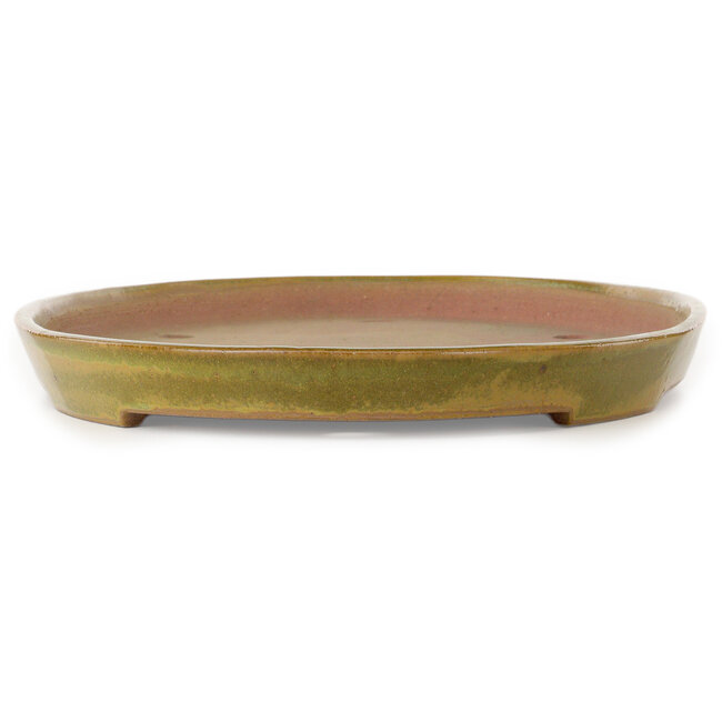 Oval yellow bonsai pot by Seizan (Reihou, Kataoka Katsushi, master Seizan kiln) - 482 x 302 x 35 mm