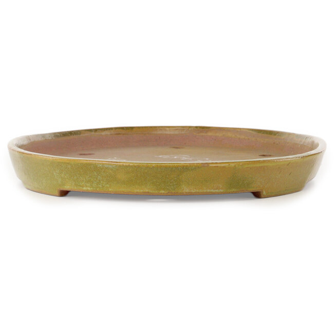 Oval yellow bonsai pot by Seizan (Reihou, Kataoka Katsushi, master Seizan kiln) - 482 x 302 x 35 mm