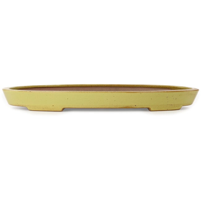 Oval yellow bonsai pot by Seizan (Reihou, Kataoka Katsushi, master Seizan kiln) - 493 x 315 x 47 mm
