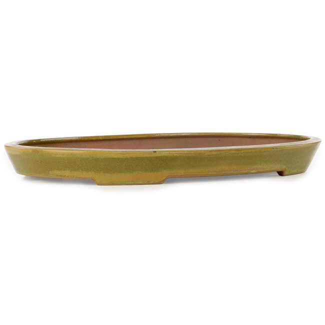 Vaso bonsai ovale giallo di Seizan (Reihou, Kataoka Katsushi, forno del maestro Seizan) - 493 x 315 x 47 mm