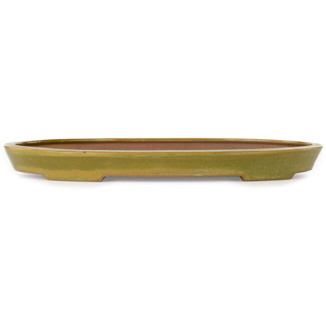 Ovale gele bonsaipot van Seizan (Reihou, Kataoka Katsushi, meester Seizan oven) - 493 x 315 x 47 mm