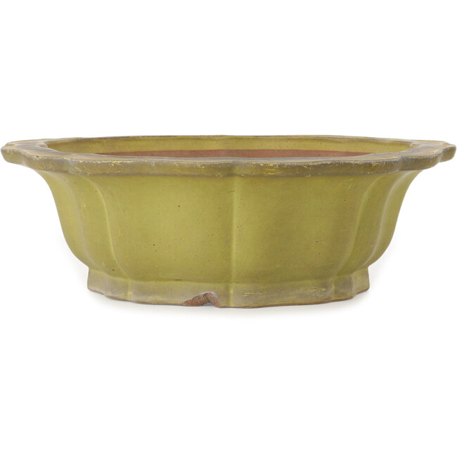 Lotus yellow bonsai pot by Seizan (Reihou, Kataoka Katsushi, master Seizan kiln) - 417 x 417 x 128 mm