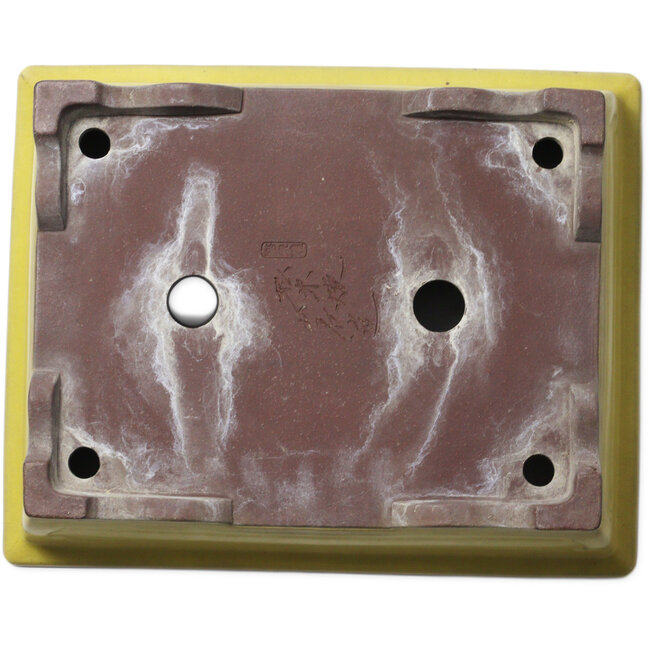 Maceta rectangular amarilla para bonsái de Yamaaki Toshio (tercera generación) - 375 x 300 x 98 mm