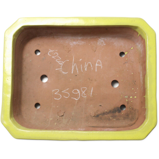 Rectangular yellow bonsai pot - 515 x 420 x 120 mm
