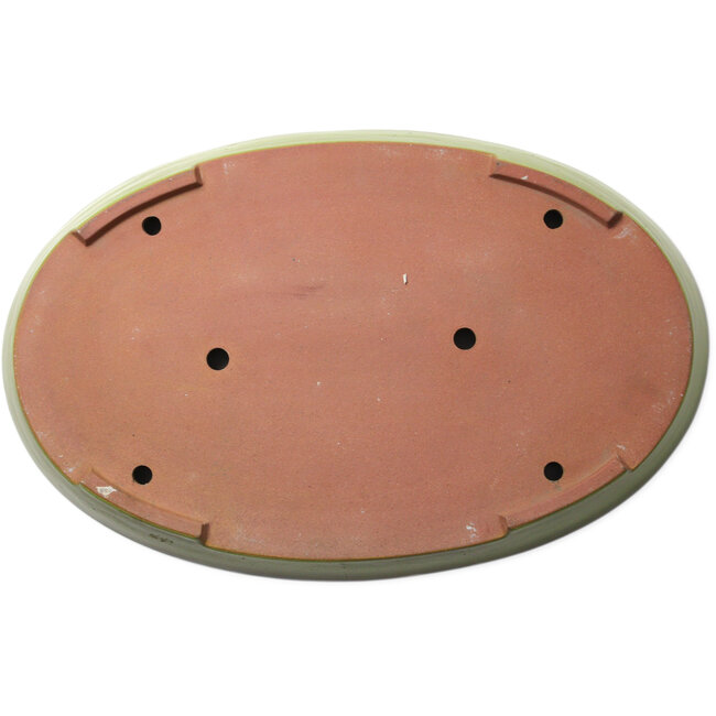 Maceta ovalada amarilla para bonsái de Seizan (Reihou, Kataoka Katsushi, maestro del horno Seizan) - 607 x 392 x 55 mm