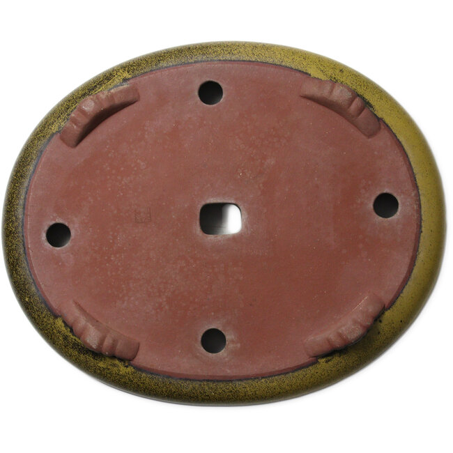 Pot ovale jaune pour bonsaï par Suishoen Hekisui - 473 x 387 x 70 mm